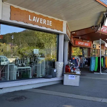 Ourse Bleue Appartement